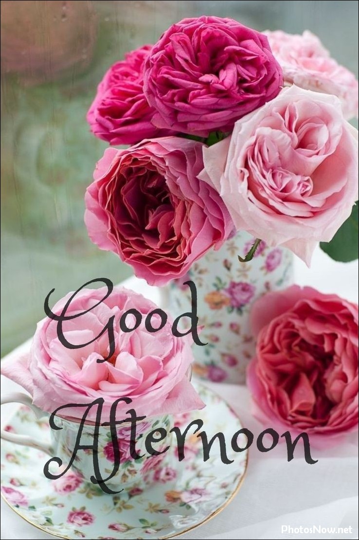 good-afternoon-images good-afternoon-images
