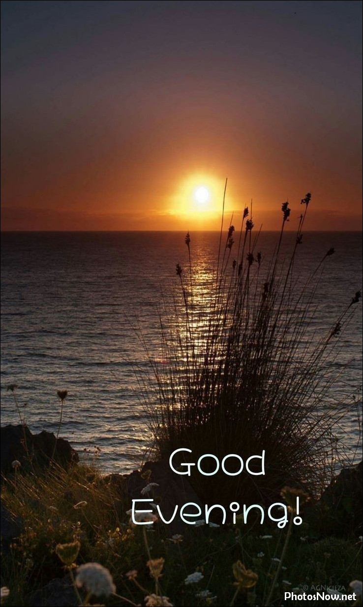 good-evening-images-photos-pics good-evening-images-photos-pics