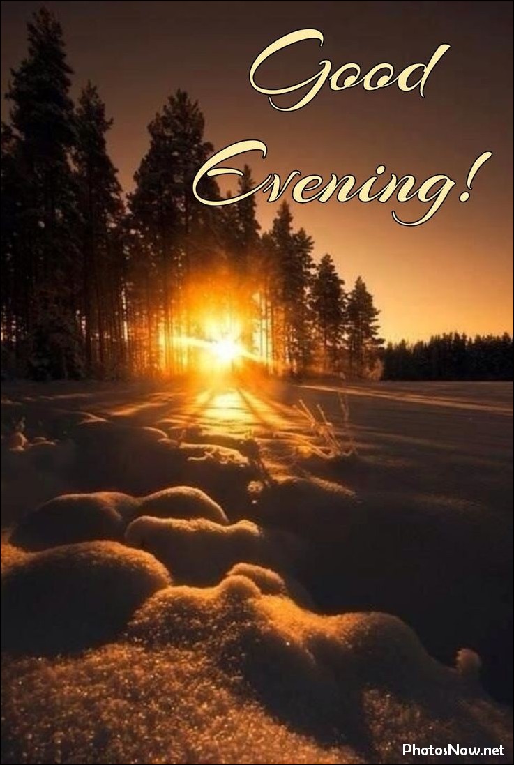 good-evening-images-photos-pics good-evening-images-photos-pics