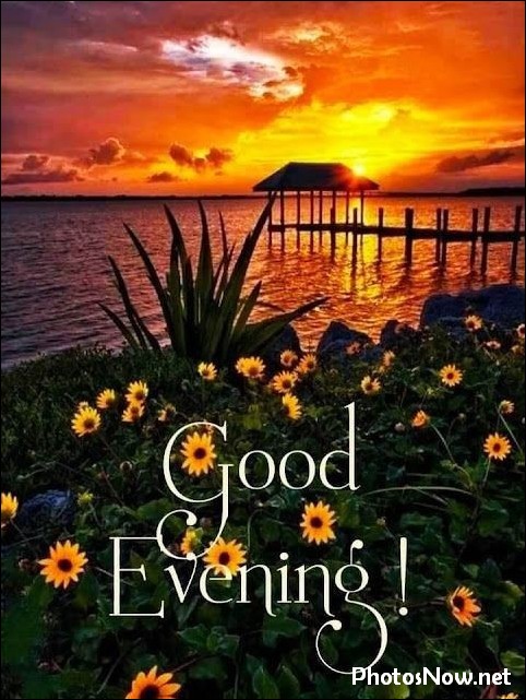 good-evening-images-photos-pics good-evening-images-photos-pics