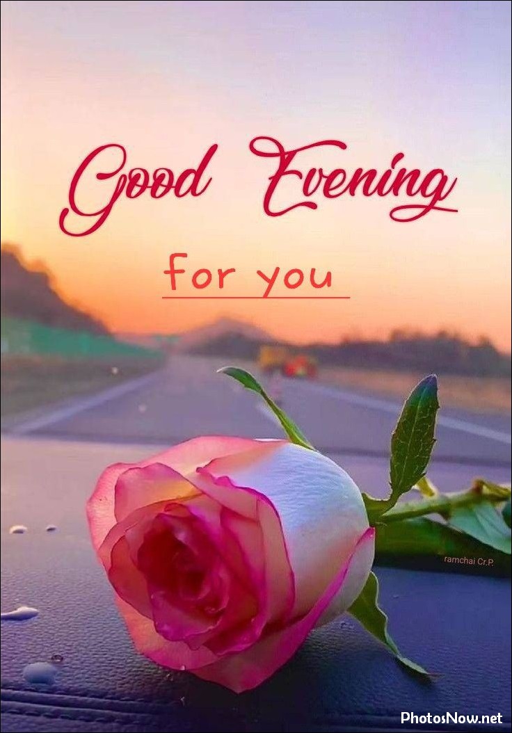 good-evening-images-photos-pics good-evening-photos