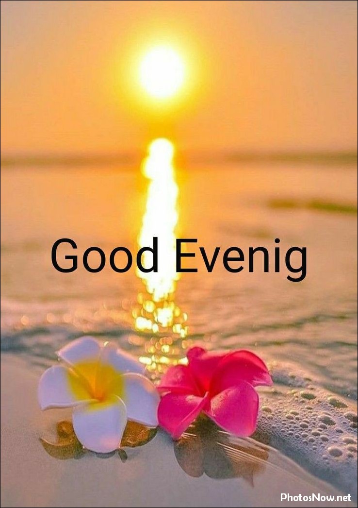 good-evening-images-photos-pics good-evening-images-photos-pics