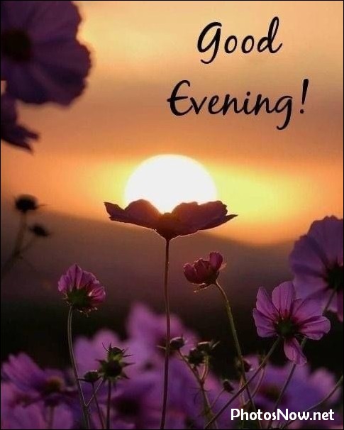 good-evening-images-photos-pics good-evening-images-photos-pics