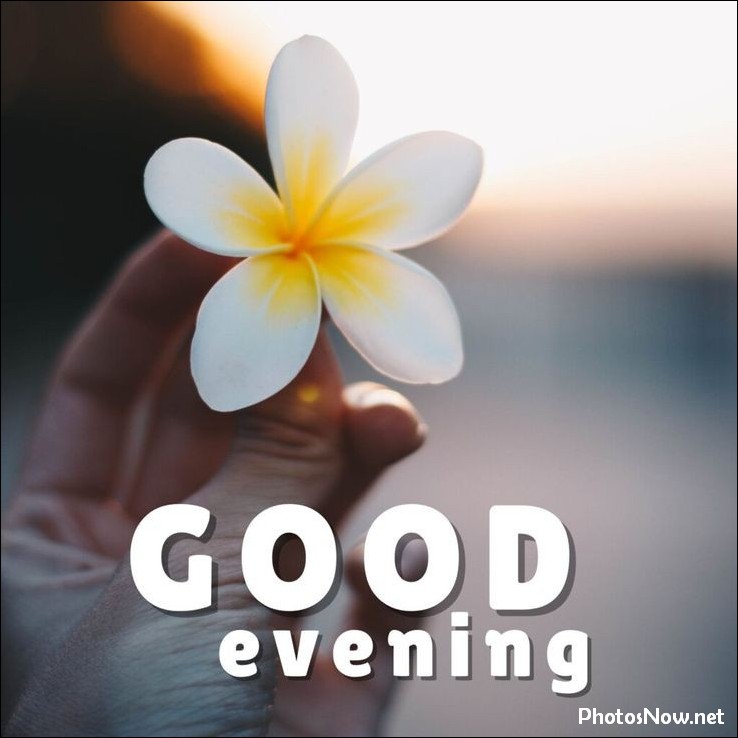 good-evening-images-photos-pics good-evening-pics
