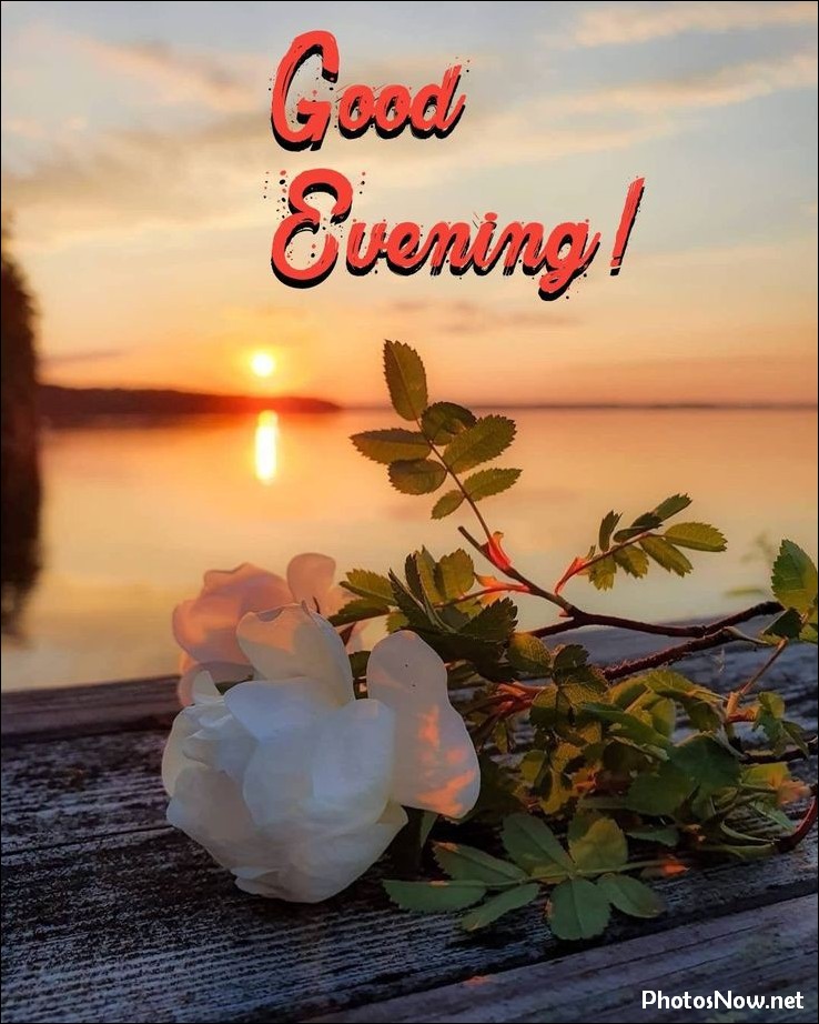 good-evening-images-photos-pics good-evening-images-photos-pics