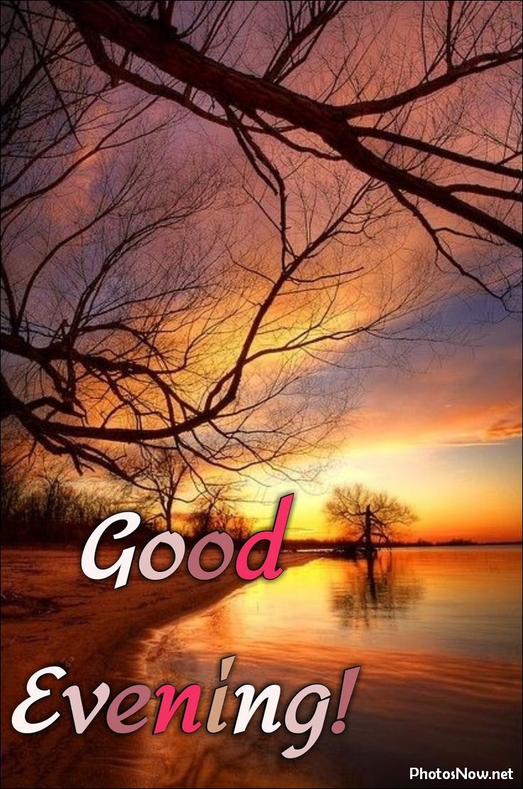 good-evening-images-photos-pics good-evening-images-photos-pics