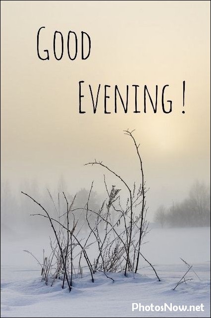 good-evening-images-photos-pics good-evening-images-photos-pics