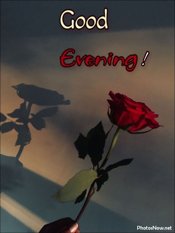 good-evening-images-photos-pics good-evening-images-photos-pics