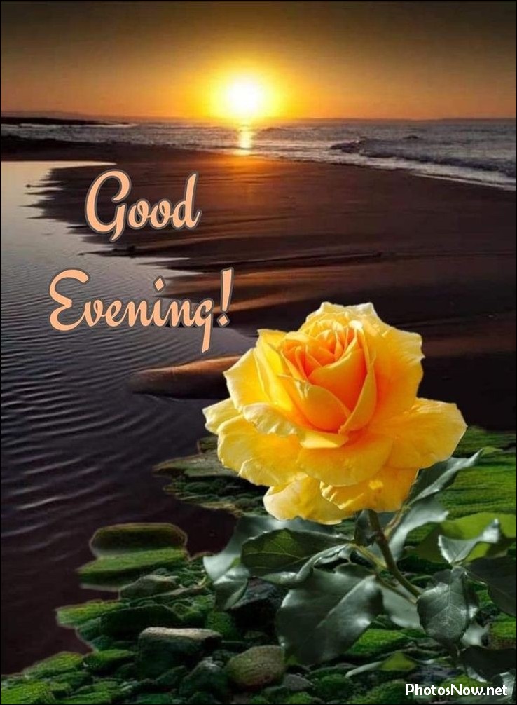 good-evening-images-photos-pics good-evening-images-photos-pics