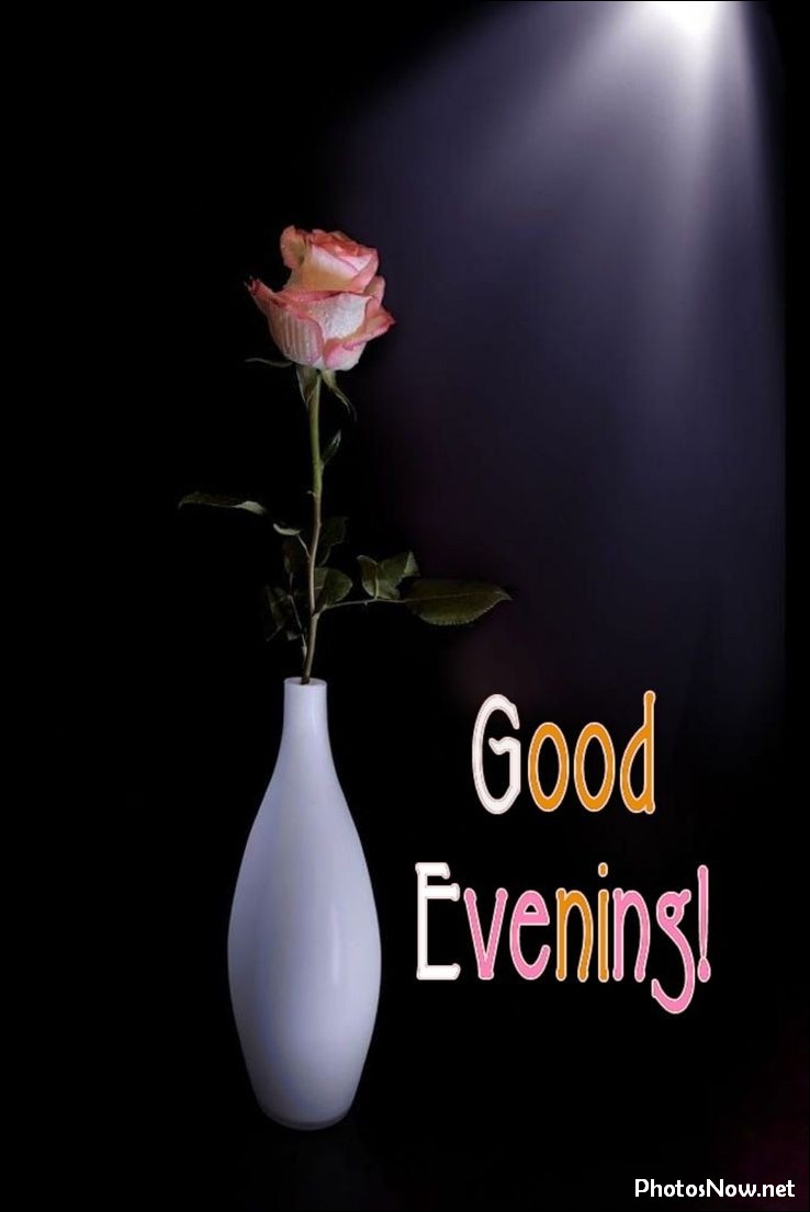 good-evening-images-photos-pics good-evening-images-photos-pics