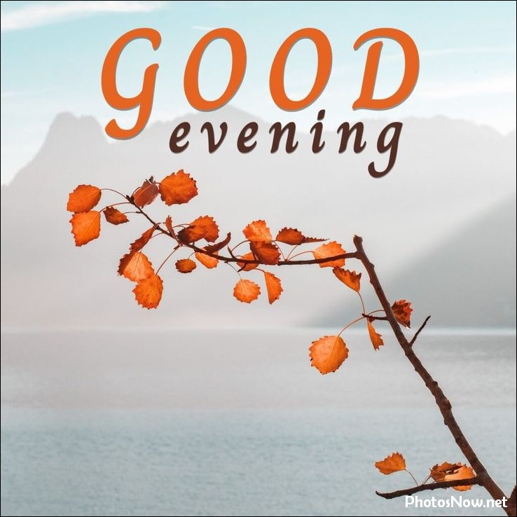 good-evening-images-photos-pics good-evening-images-photos-pics