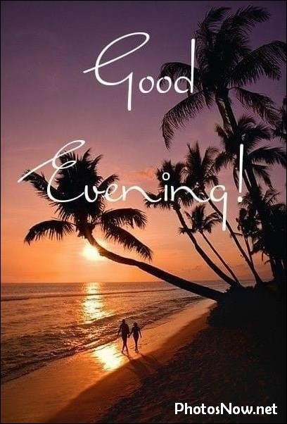 good-evening-images-photos-pics good-evening-wishes