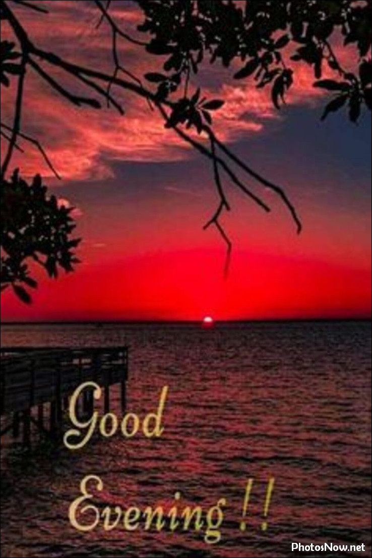 good-evening-images-photos-pics good-evening-images-photos-pics