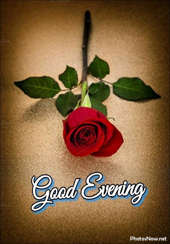 good-evening-images-photos-pics good-evening-flower-images