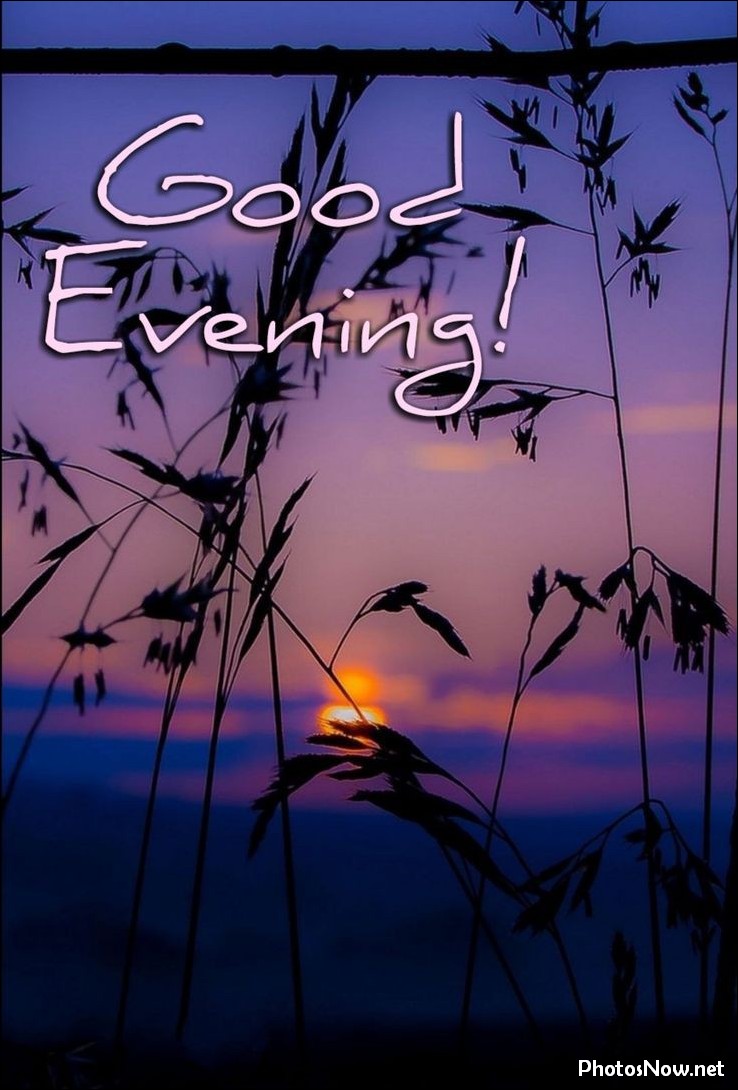 good-evening-images-photos-pics good-evening-images-photos-pics