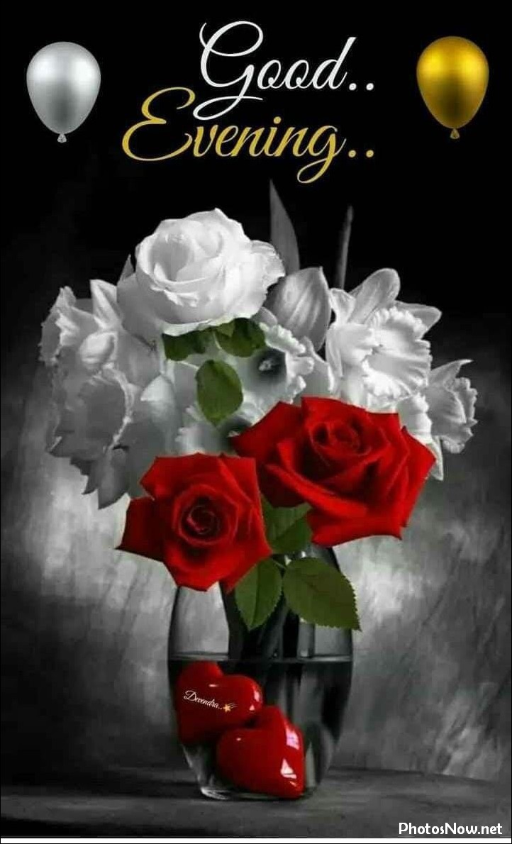 good-evening-images-photos-pics good-evening-images-photos-pics
