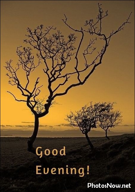 good-evening-images-photos-pics good-evening-images-photos-pics