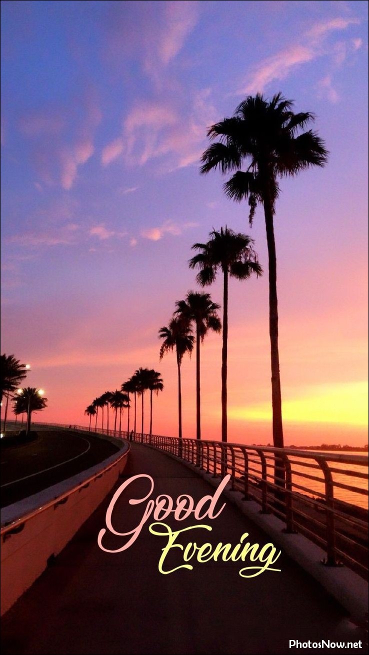 good-evening-images-photos-pics good-evening-images-photos-pics