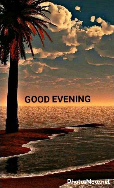 good-evening-images-photos-pics good-evening-images-photos-pics