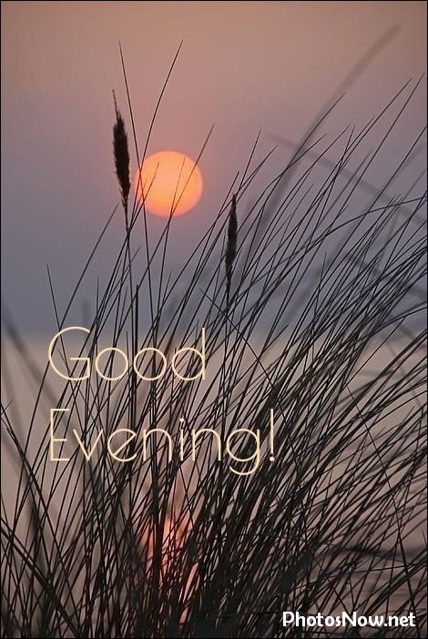 good-evening-images-photos-pics good-evening-images-photos-pics