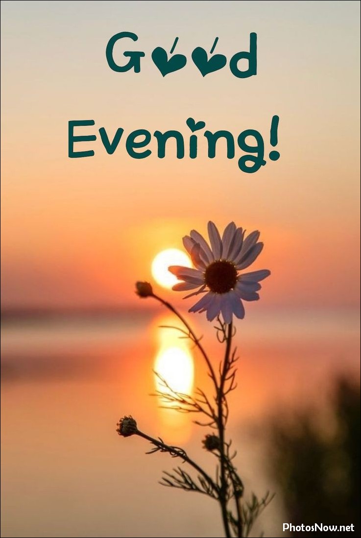 good-evening-images good-evening-images