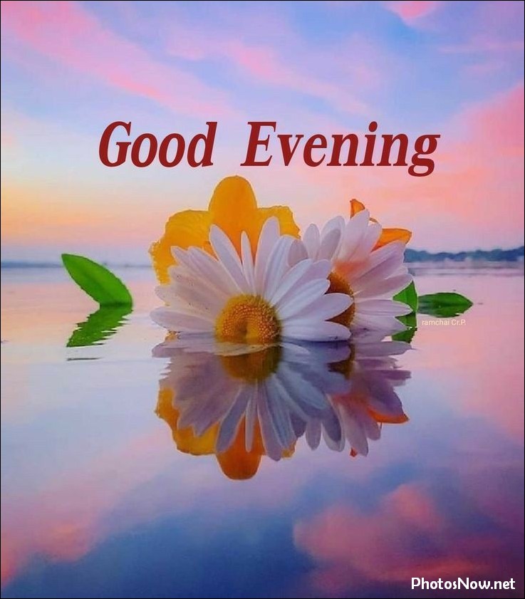 good-evening-images good-evening-images