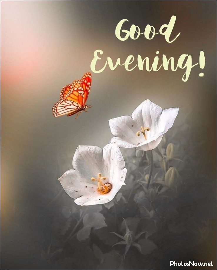 good-evening-images good-evening-images