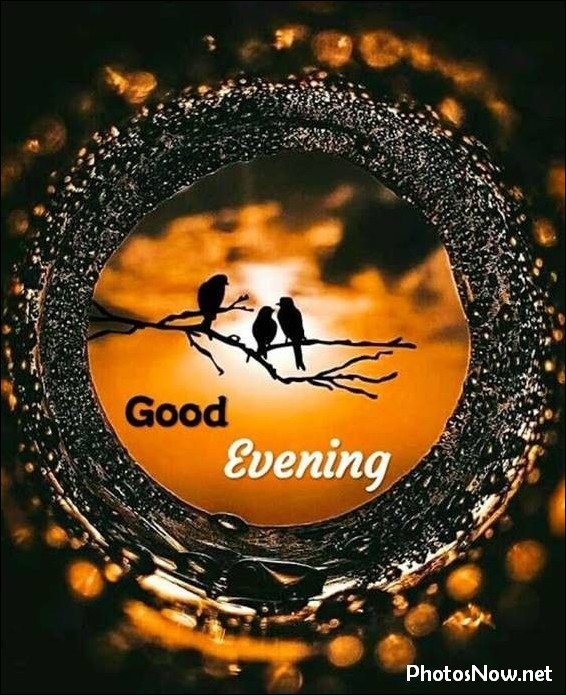 good-evening-images good-evening-images