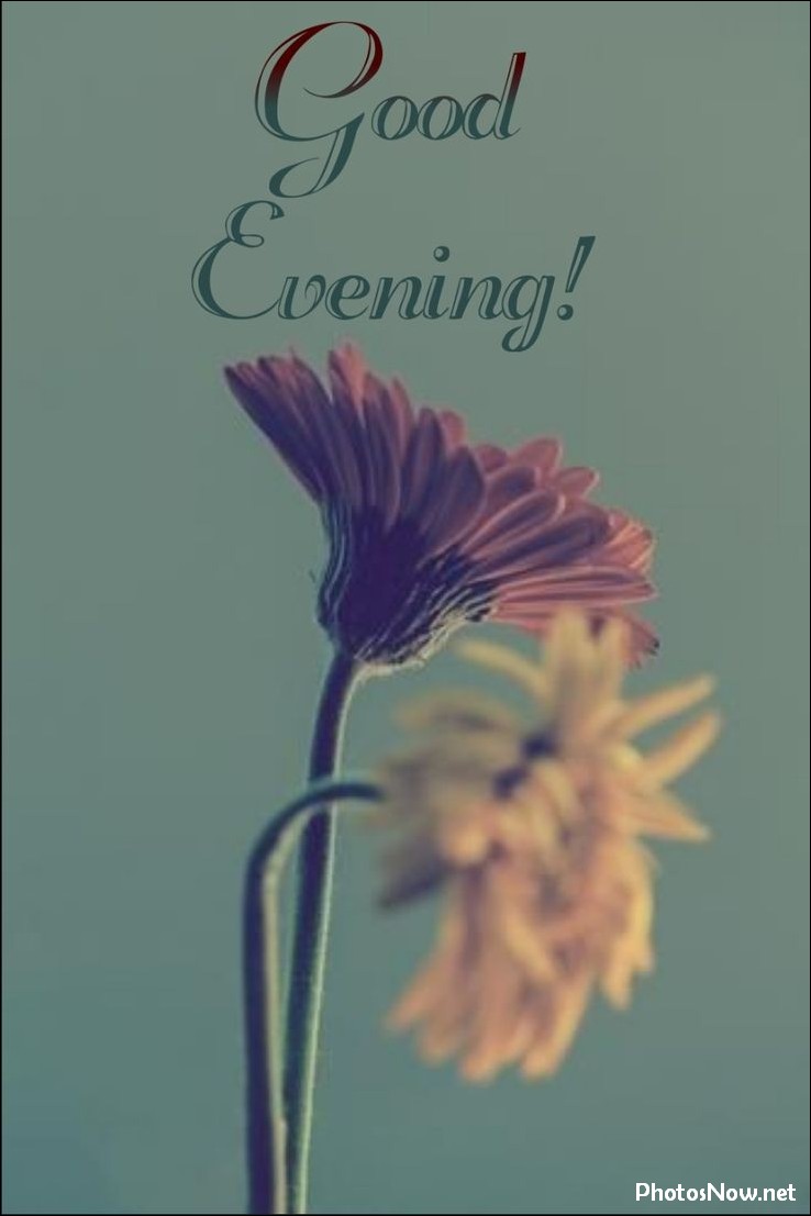 good-evening-images good-evening-images
