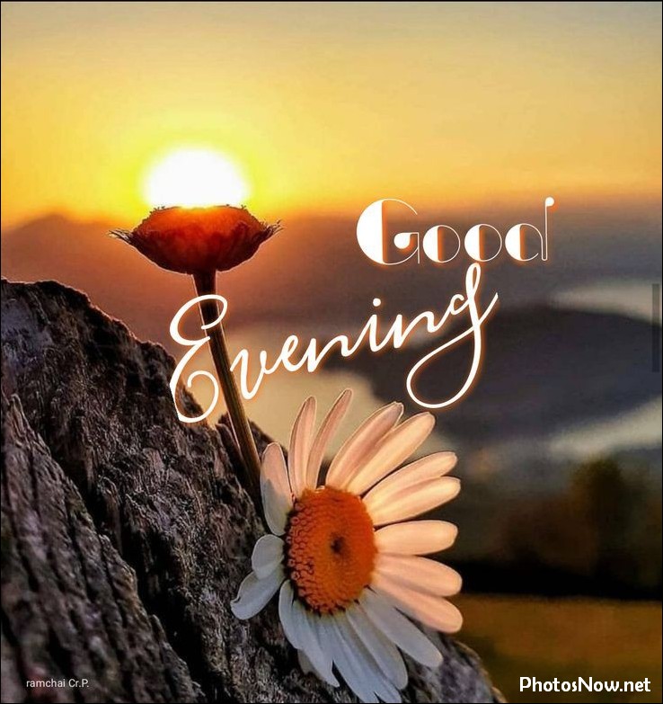good-evening-images good-evening-love-images