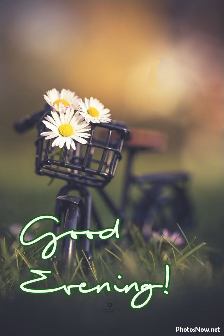 good-evening-images good-evening-images