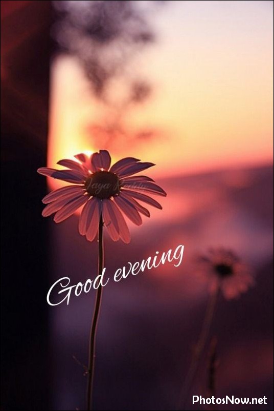 good-evening-images good-evening-images