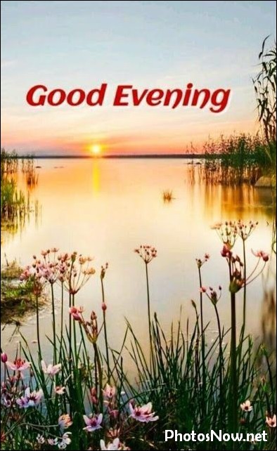 good-evening-images good-evening-images