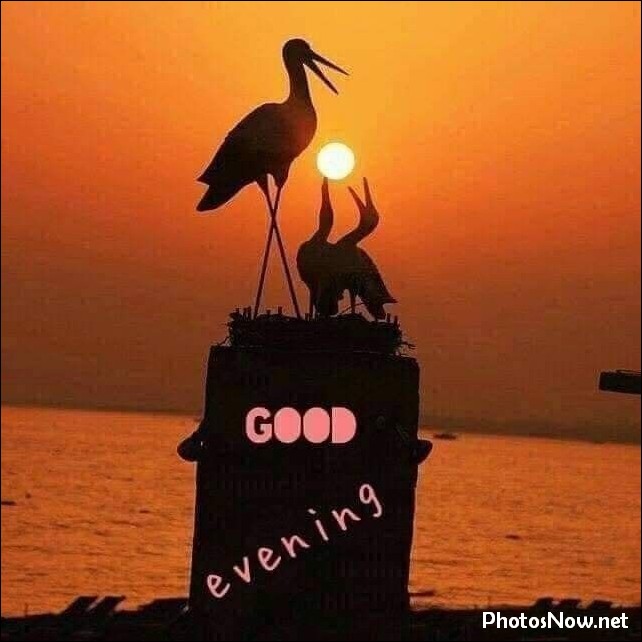 good-evening-images good-evening-images