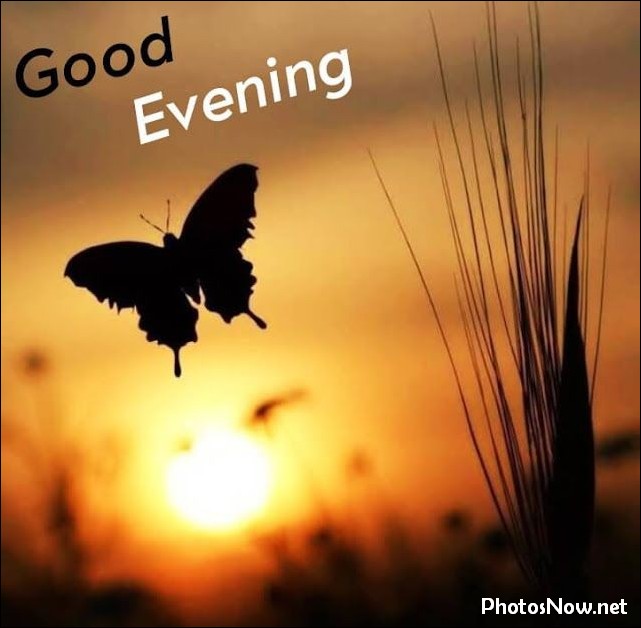 good-evening-images good-evening-images