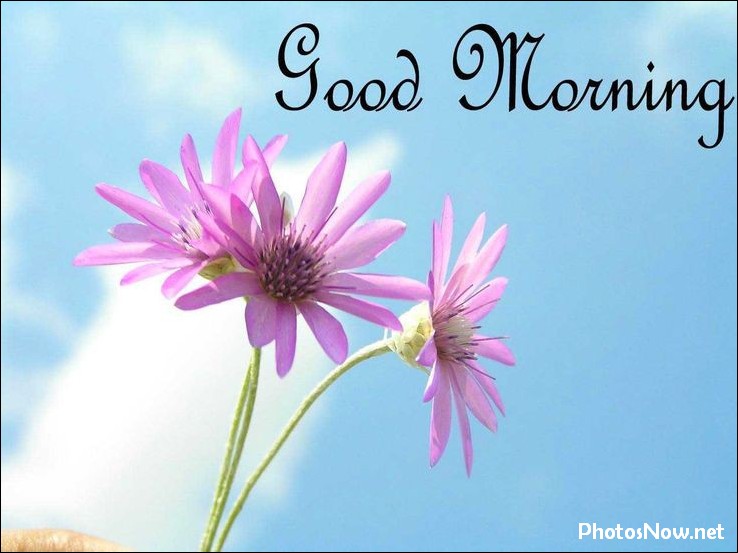 good-morning-images good-morning-images