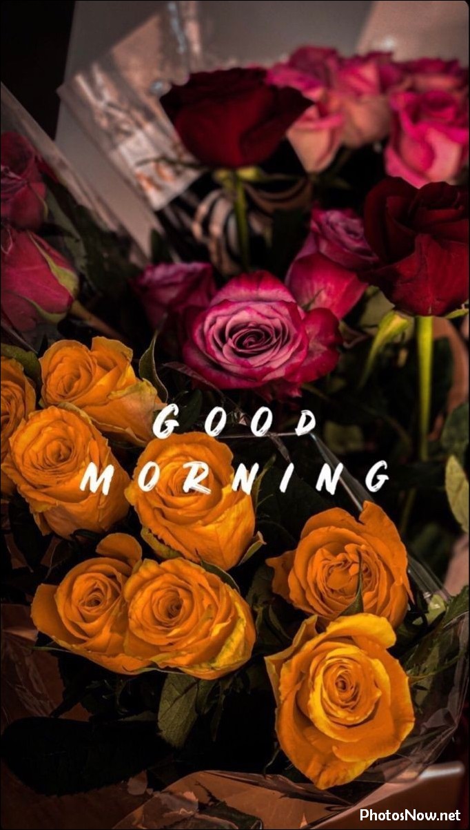 good-morning-images good-morning-images