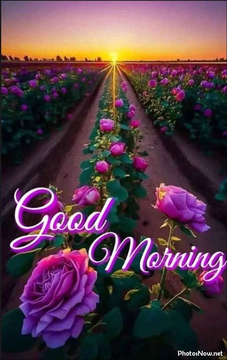 good-morning-images good-morning-images