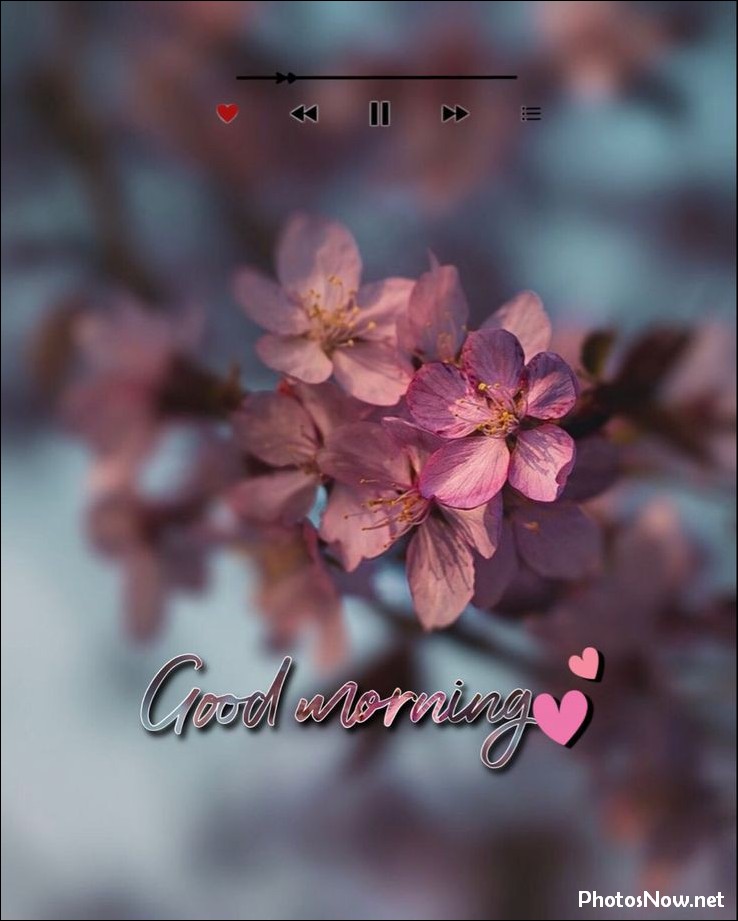 good-morning-images good-morning-images