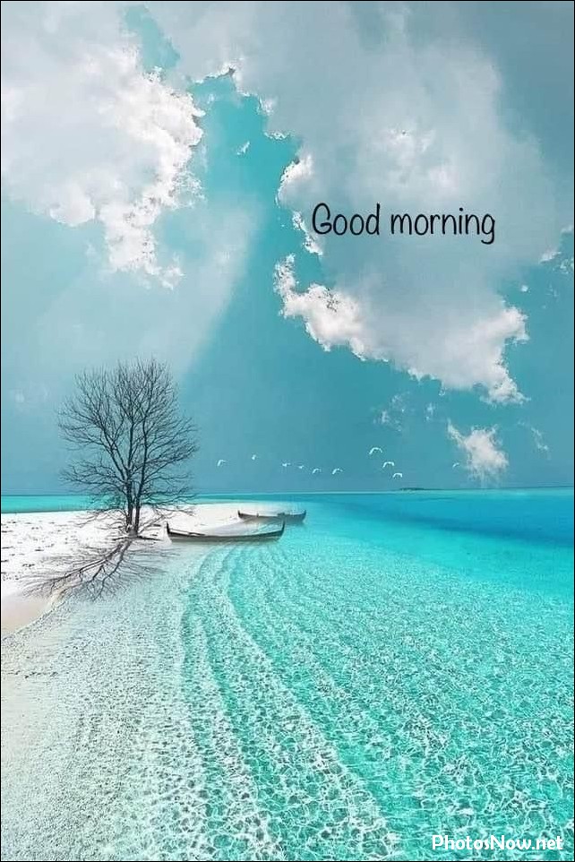 good-morning-images good-morning-images