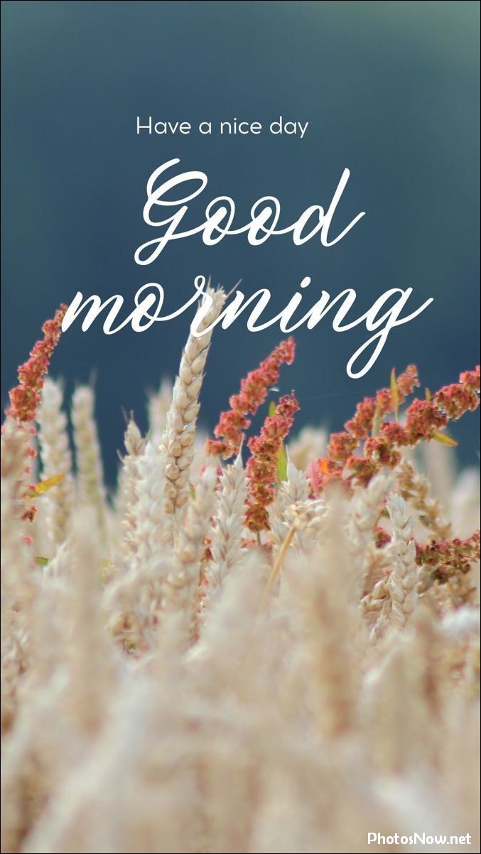good-morning-images good-morning-images