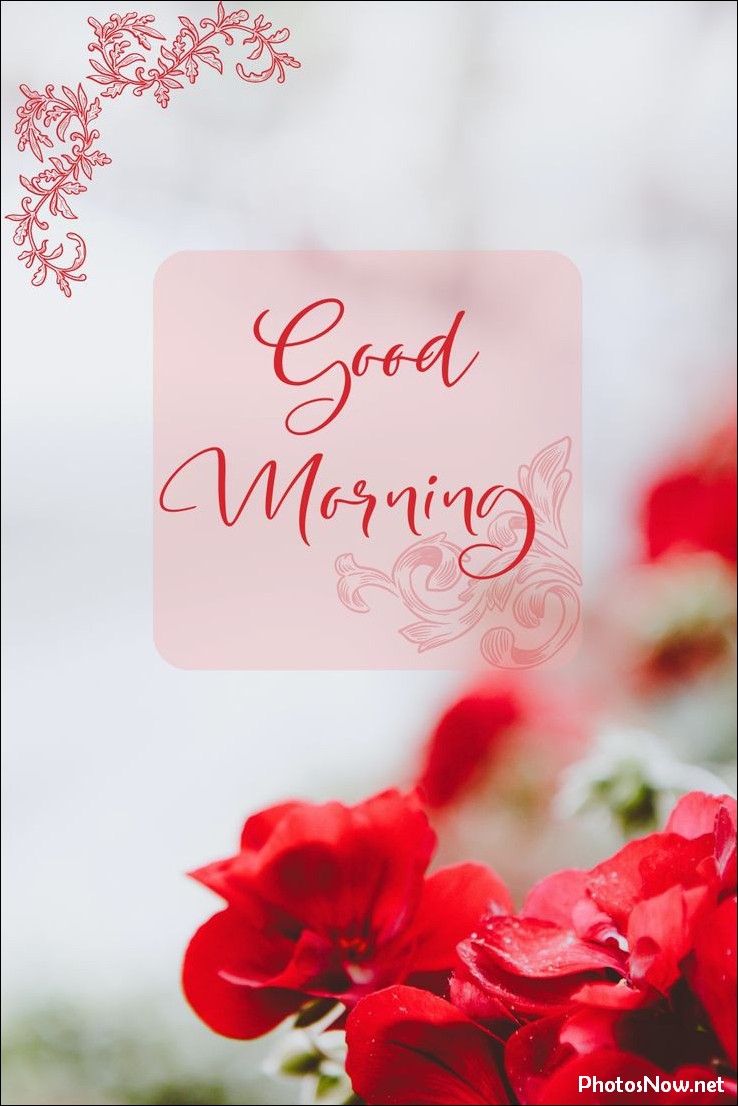 good-morning-images good-morning-images