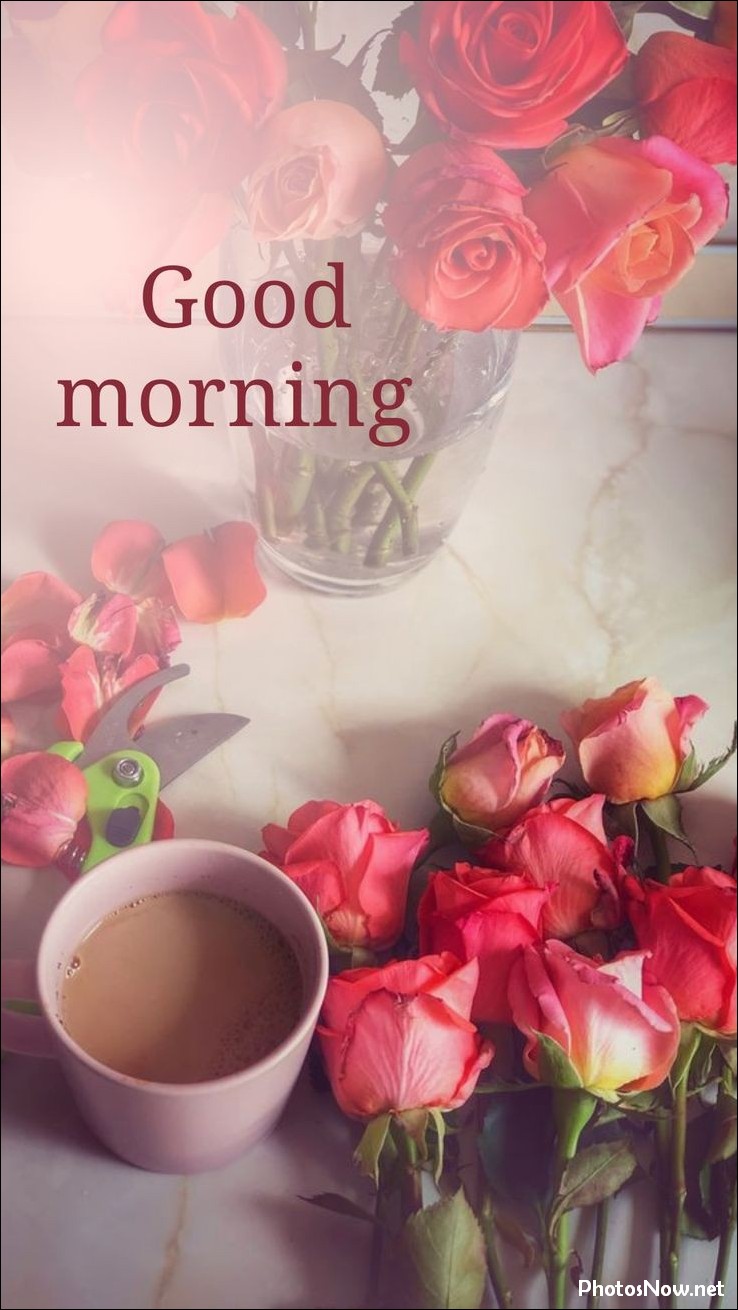 good-morning-images good-morning-images