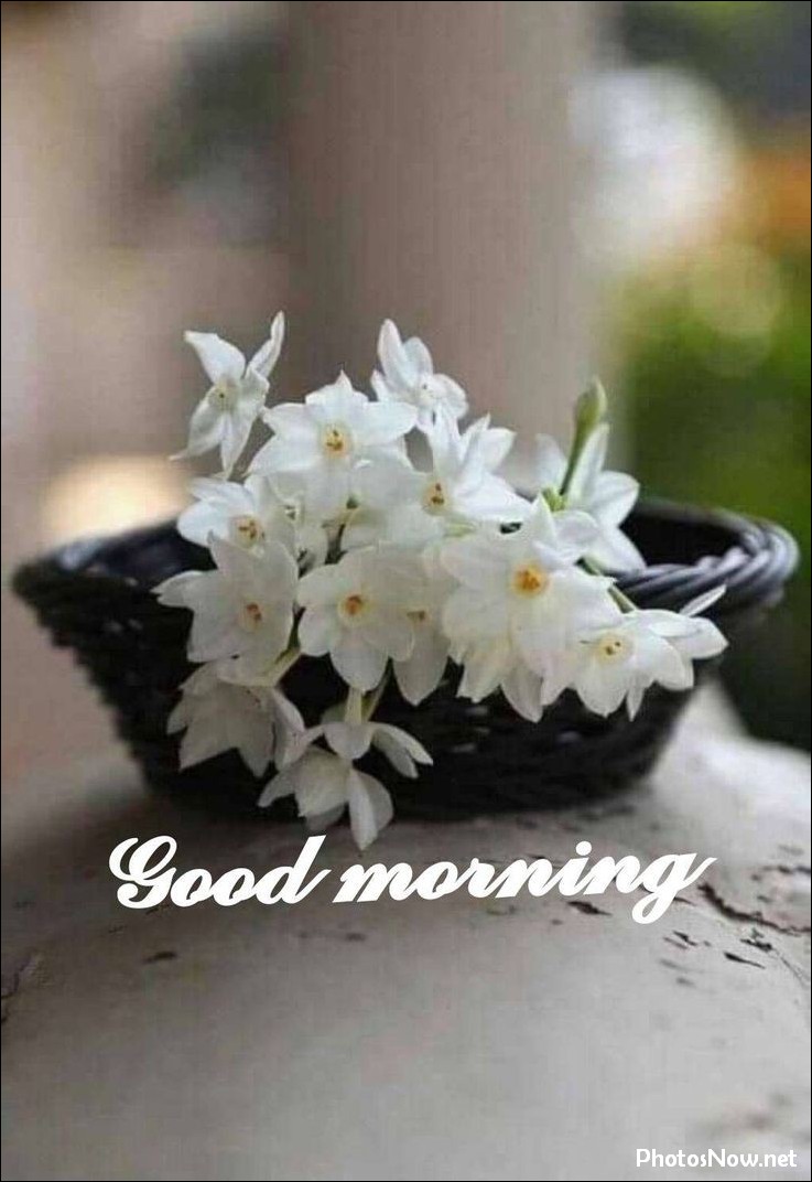 good-morning-images good-morning-images