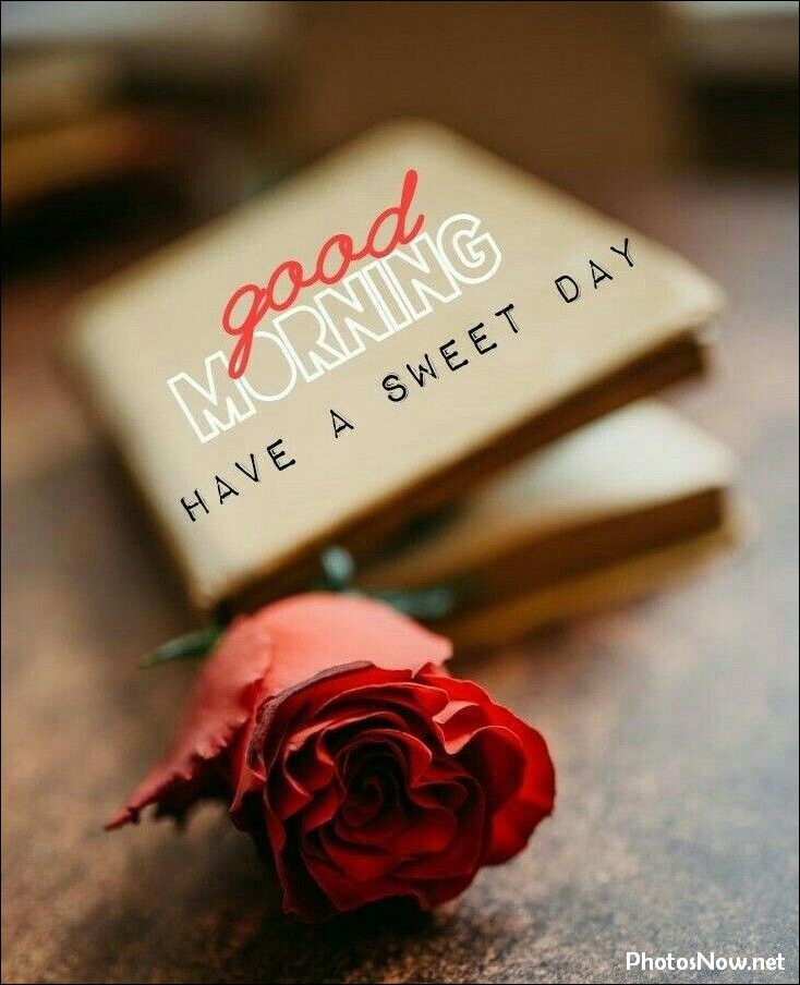 good-morning-images good-morning-images