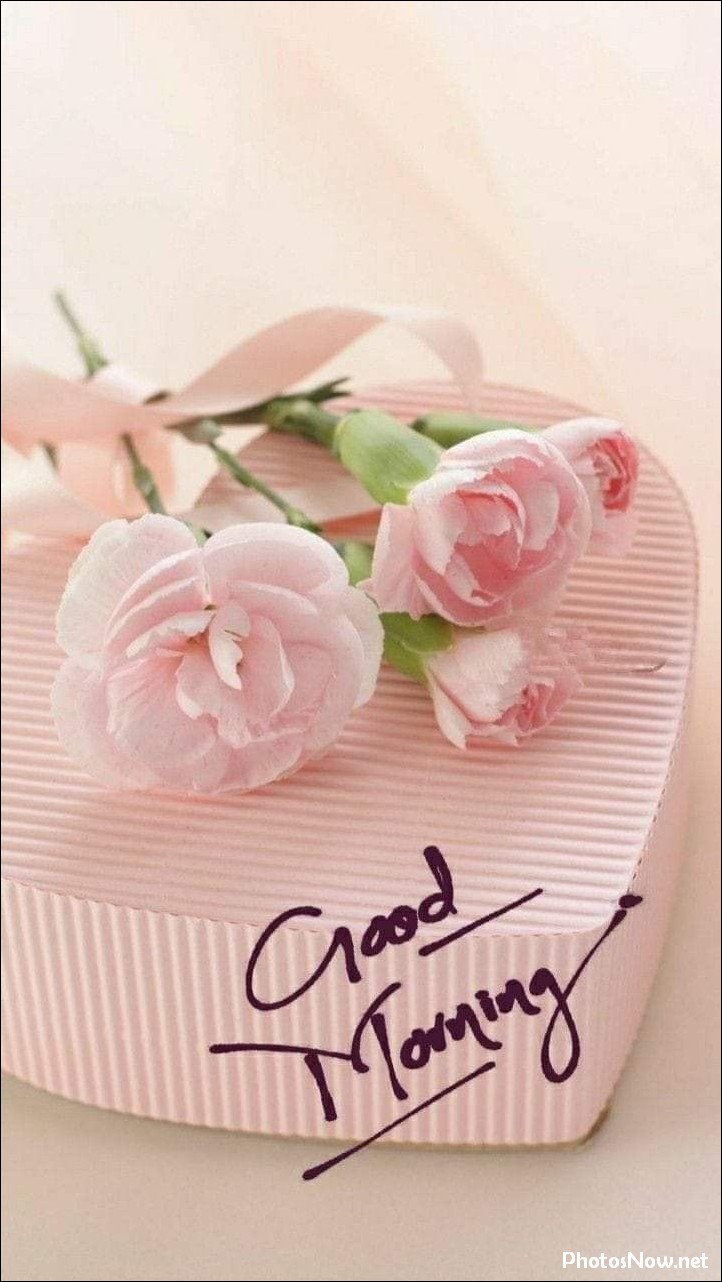 good-morning-images good-morning-images