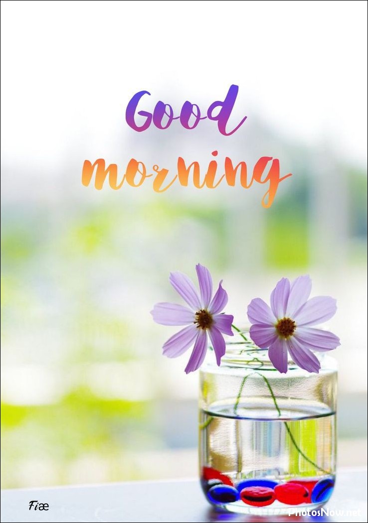 good-morning-images good-morning-images