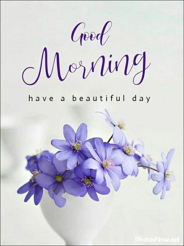 good-morning-images good-morning-images