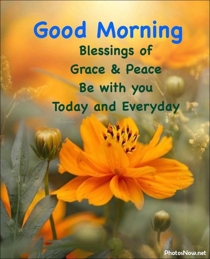 good-morning-images good-morning-images