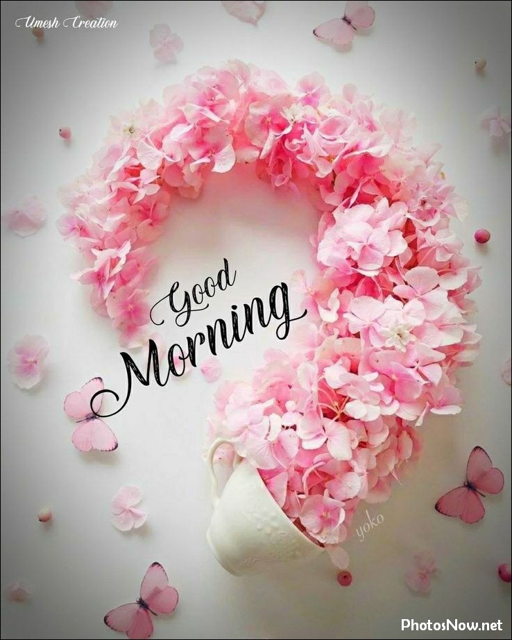 good-morning-images good-morning-photos